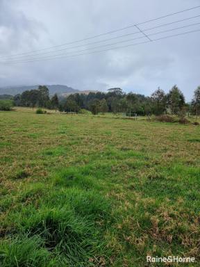 Land/Development For Lease - NSW - Berry - 2535 - Vacant Land  (Image 2)