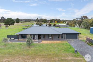 House For Sale - VIC - Haddon - 3351 - Where Family Comes First And Space Follows  (Image 2)