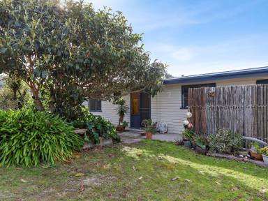 House For Sale - TAS - Bicheno - 7215 - Coastal Charm with Endless Potential  (Image 2)