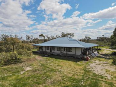 Lifestyle For Sale - VIC - Tresco - 3583 - Tranquil Bush Retreat – 72.56-hectare approx. (179.3-acre approx.) of Natural Beauty  (Image 2)