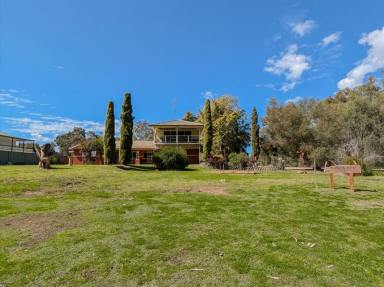 House For Sale - NSW - Tooleybuc - 2736 - River Views | Spacious Family Living | Versatile Two-Story Home | 6,499m² Block  (Image 2)