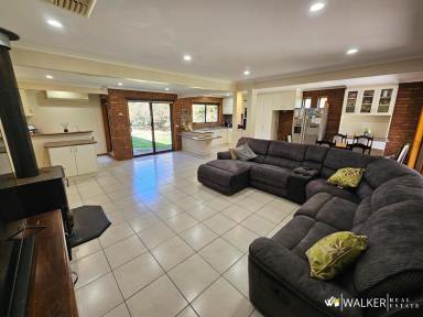 Lifestyle For Sale - VIC - Koyuga - 3622 - The Lifestyle You've Been Looking For  (Image 2)