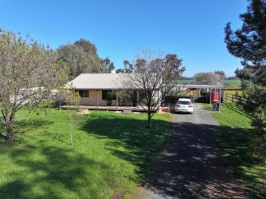 Lifestyle For Sale - VIC - Avonmore - 3559 - PEACEFUL COUNTRY LIVING ON TWO TITLES  (Image 2)
