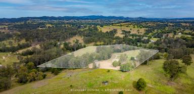 House For Sale - QLD - Canina - 4570 - THE BEST OF LIFESTYLE AND LOCATION  (Image 2)