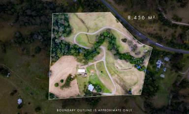 House For Sale - QLD - Canina - 4570 - THE BEST OF LIFESTYLE AND LOCATION  (Image 2)