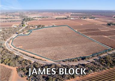 Viticulture For Sale - SA - Winkie - 5343 - JAMES BLOCK  (Image 2)