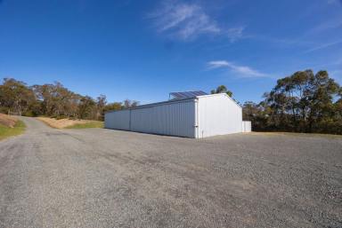 House For Sale - VIC - Garibaldi - 3352 - Breathtaking Off-Grid Lifestyle on 100 Acres with Panoramic Views  (Image 2)