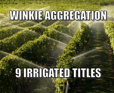 Viticulture For Sale - SA - Winkie - 5343 - 6 IRRIGATED TITLES  (Image 2)