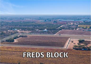 Viticulture For Sale - SA - Winkie - 5343 - FREDS BLOCK - must be sold  (Image 2)