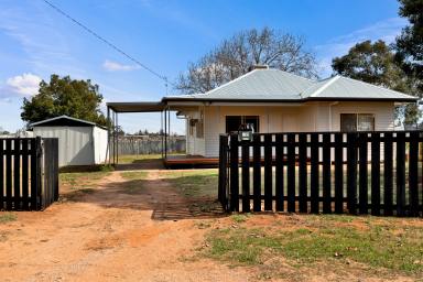 House For Sale - VIC - Red Cliffs - 3496 - Neat & tidy first home or investment!  (Image 2)