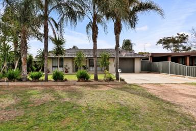 House For Sale - VIC - Merbein - 3505 - 4 bed, 2 bath + study & shed!  (Image 2)