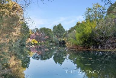 House For Sale - WA - Mount Helena - 6082 - Your Very Own "Kings Park" In The Hills - Just Gorgeous  (Image 2)