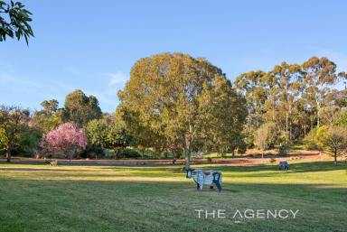 House Sold - WA - Mount Helena - 6082 - Your Very Own "Kings Park" In The Hills & Abundant Water Supply  (Image 2)