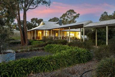 Mixed Farming For Sale - VIC - Sheans Creek - 3666 - An Exceptional Thoroughbred Enterprise with Commanding Valley Vistas  (Image 2)