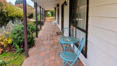 House For Sale - VIC - Murrayville - 3512 - Spacious Family Home on Huge 2,030m² Dual Titles + Bonus Bungalow & Big Shed  (Image 2)