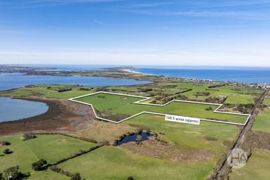 Mixed Farming For Sale - VIC - Rhyll - 3923 - Where the Coast Meets the Country  (Image 2)