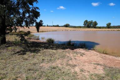 Lifestyle For Sale - QLD - Coolmunda - 4387 - RURAL LIFESTYLE WITH INFRASTRUCTURE IN PLACE  (Image 2)
