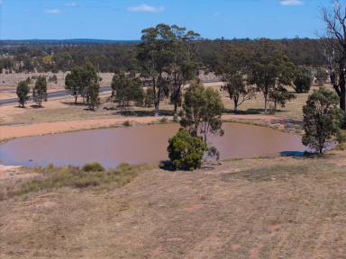 Lifestyle For Sale - QLD - Coolmunda - 4387 - RURAL LIFESTYLE WITH INFRASTRUCTURE IN PLACE  (Image 2)