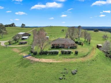 Lifestyle For Sale - NSW - High Range - 2575 - 'Old Wanganderry' EOI Closes Wed 22nd October 4.30pm  (Image 2)