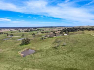 Lifestyle For Sale - NSW - High Range - 2575 - A Landmark Southern Highlands Landholding of Scale, Productivity and Natural Beauty  (Image 2)