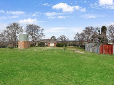 Lifestyle For Sale - NSW - High Range - 2575 - A Landmark Southern Highlands Landholding of Scale, Productivity and Natural Beauty  (Image 2)