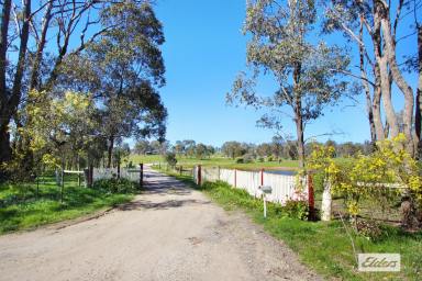 Acreage/Semi-rural For Sale - VIC - Eppalock - 3551 - PICTURESQUE LIFESTYLE, HOBBY FARMING OR HORSE PROPERTY WITH PERMANENT WATER SUPPLY  (Image 2)