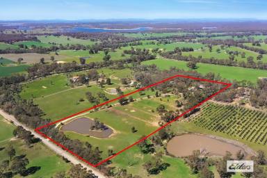 Acreage/Semi-rural For Sale - VIC - Eppalock - 3551 - PICTURESQUE LIFESTYLE, HOBBY FARMING OR HORSE PROPERTY WITH PERMANENT WATER SUPPLY  (Image 2)