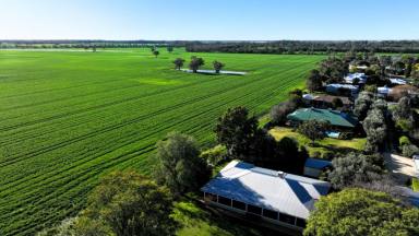 House For Sale - NSW - Moree - 2400 - Country Living in Town - Private Greenbah Retreat  (Image 2)
