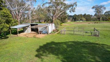 Lifestyle For Sale - VIC - Branxholme - 3302 - Rural Lifestyle Opportunity  (Image 2)