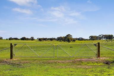 Mixed Farming For Sale - VIC - Bagshot North - 3551 - 230 Acres – Productivity and Privacy  (Image 2)