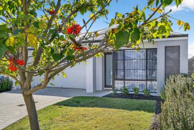 House For Sale - WA - Harrisdale - 6112 - Modern Family Living in Harrisdale  (Image 2)