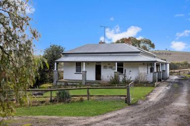 Lifestyle For Sale - VIC - Coleraine - 3315 - Lifestyle Farm (46ac approx.) with Large home and Beautiful View  (Image 2)