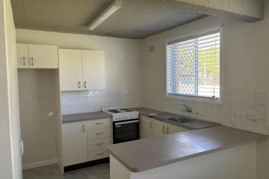 Unit For Lease - NSW - Raymond Terrace - 2324 - ONLY A SHORT STROLL FROM THE CENTRE OF TOWN!!!  (Image 2)