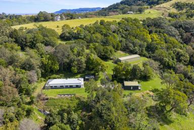 Lifestyle Auction - NSW - Broughton Village - 2534 - 'Orana' - Stunning Lifestyle Property in Broughton Village  (Image 2)