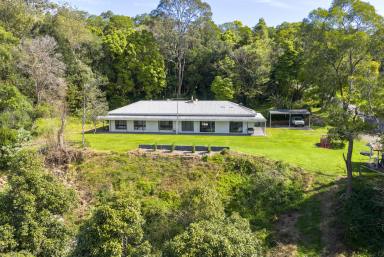 Lifestyle For Sale - NSW - Broughton Village - 2534 - 'Orana' - Stunning Lifestyle Property in Broughton Village  (Image 2)