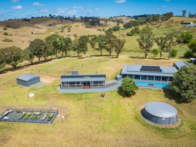 Acreage/Semi-rural For Sale - NSW - Bega - 2550 - A MODERN EQUESTRIAN HEAVEN!  (Image 2)