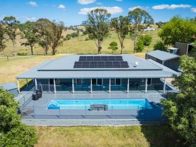 Acreage/Semi-rural Sold - NSW - Bega - 2550 - A MODERN EQUESTRIAN HEAVEN!  (Image 2)