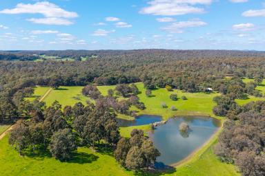 Other (Rural) For Sale - WA - Waroona - 6215 - "WARATAH" – Tranquillity & Rolling Hills  (Image 2)