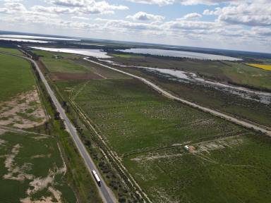 Mixed Farming For Sale - VIC - Reedy Lake - 3579 - Prime Land Opportunity in the Heart of Kerang Lakes District  (Image 2)