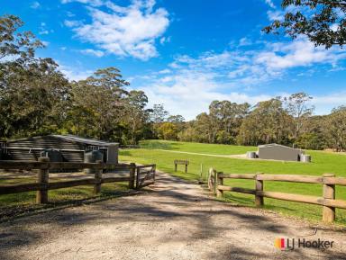 Cropping For Sale - NSW - Currowan - 2536 - SWANHAVEN  (Image 2)