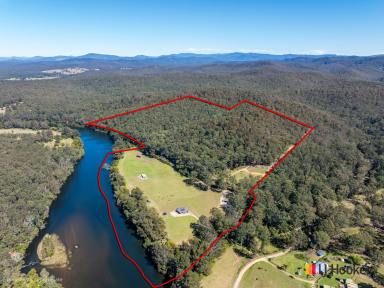 Cropping For Sale - NSW - Currowan - 2536 - SWANHAVEN  (Image 2)