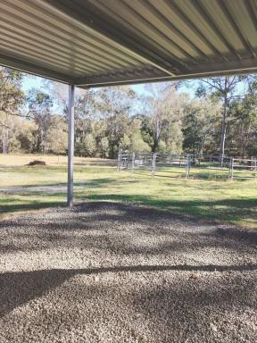 Acreage/Semi-rural Auction - QLD - Greenbank - 4124 - Unique opportunity!! 10acres with passive income  (Image 2)