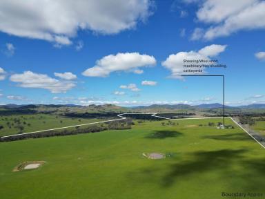 Residential Block Auction - NSW - Bowna - 2644 - Outstanding rural land offering a prime location, approximately 20 minutes from Albury CBD.  (Image 2)