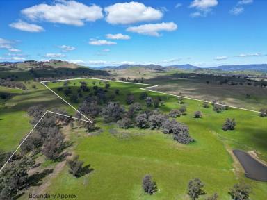 Residential Block Auction - NSW - Bowna - 2644 - Outstanding rural land offering a prime location, approximately 20 minutes from Albury CBD.  (Image 2)