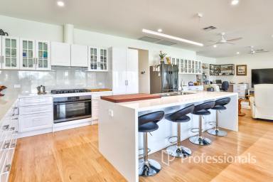 House For Sale - NSW - Wentworth - 2648 - Riverfront Lifestyle and Location  - 10,008m2  (Image 2)