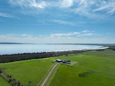 Lifestyle For Sale - VIC - The Gurdies - 3984 - Off-Grid Luxury Living on Westernport Bay  (Image 2)
