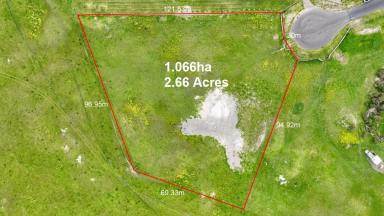 Residential Block For Sale - SA - Southend - 5280 - Popular Rural Living Allotment close to the coast  (Image 2)