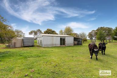 Residential Block For Sale - VIC - Marong - 3515 - Rural Lifestyle Calling  (Image 2)