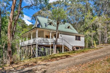 House For Sale - NSW - Bandon Grove - 2420 - Wake Up to Birdsongs, Treetops and Endless Possibilities: Two Homes with Double the Opportunity  (Image 2)