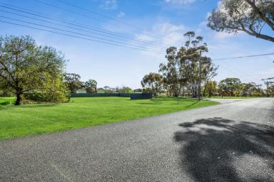 Residential Block Auction - VIC - Goornong - 3557 - AUCTION Price Guide $150,000 - $165,000  (Image 2)